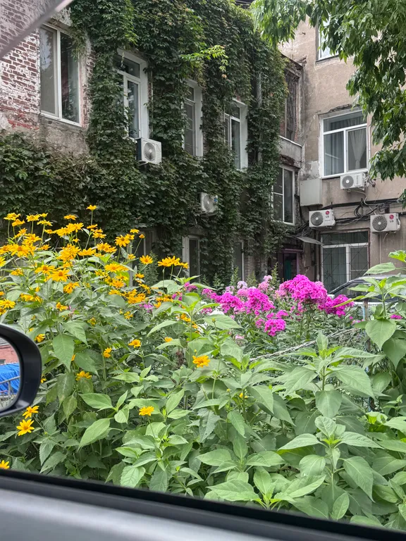 Квартира Квартира Студия в историческом центре города на Арбате — Владивосток