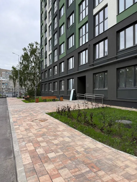 Просторная квартира с видом на Березовую рощу