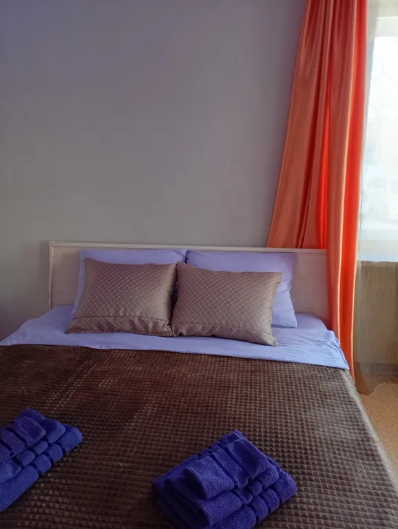 Уютная однокомнатная квартира в центре города