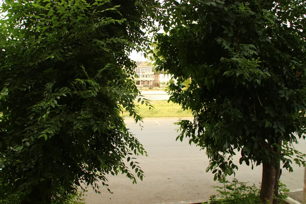 Квартира в Купеческом доме с видом на Красную набережную