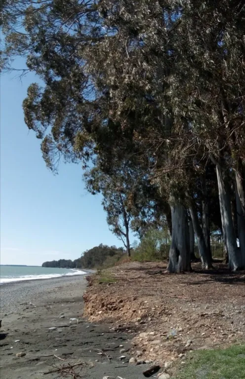 Гостевой дом на Школьной