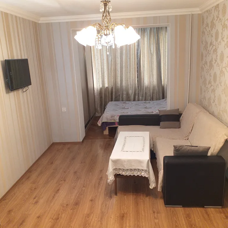 1-комнатная квартира в центре города