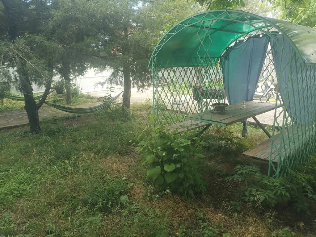 Апартаменты в лесу