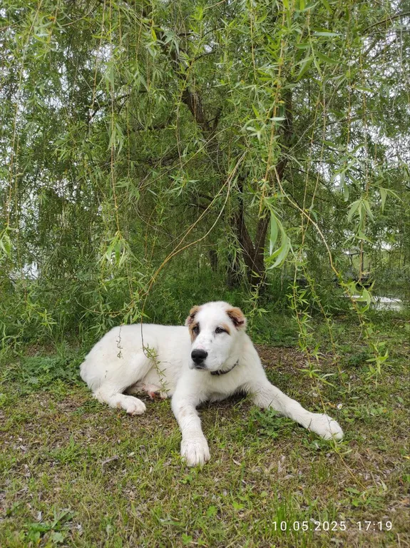 Домик комфорт