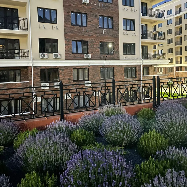 Современные апартаменты с живописным видом