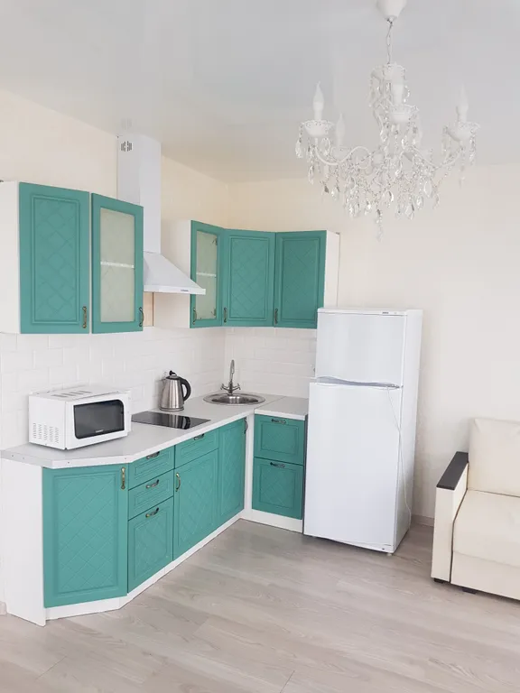 Квартира 1-комнатная Квартира — Сириус