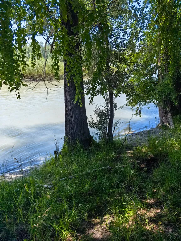 Любимый берег гостевой дом на берегу Катуни