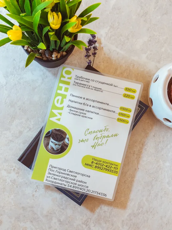 Коттедж Дом мини-дом с террасой и отдельной беседкой для шашлыка — Зеленоградск