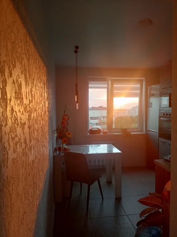 Парк Тысячелетия Витебска, Ледовый дворец