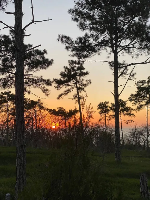 Квартира Квартира Супер видовая студия Гармония, Учкуевка — Севастополь
