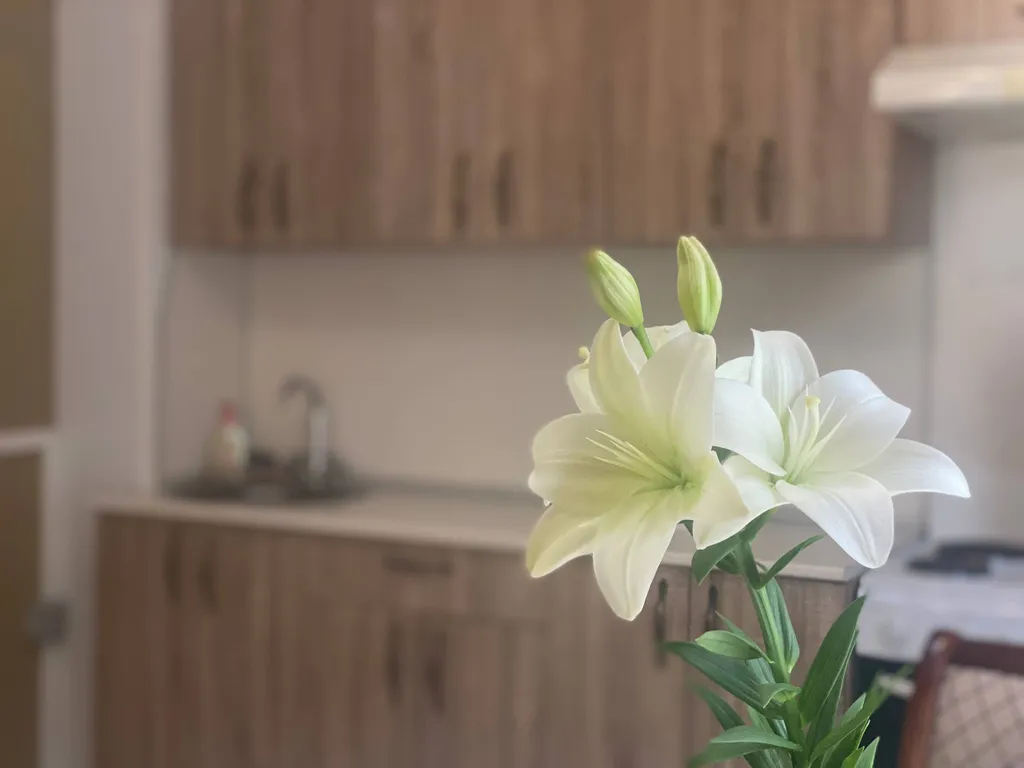 Квартира Квартира Апартамент на двоих в 100 метрах от моря — Анапа