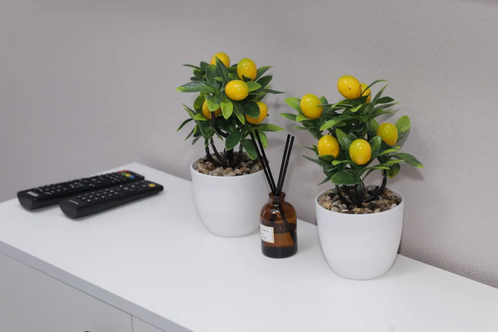 Студия Дом Smile Green Зона Комфорта