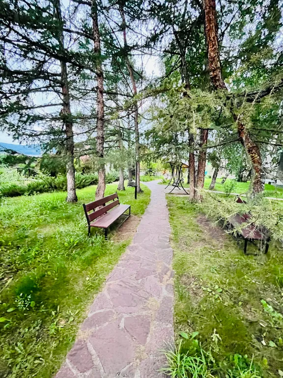 Номер в ЖК Монблан на озере Банное Зеленая поляна