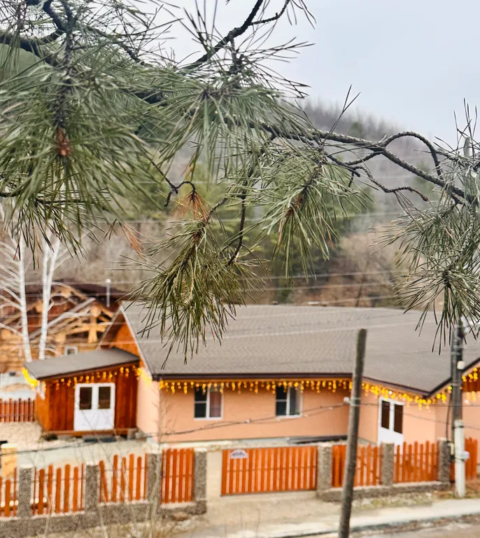 Коттедж Гостевой дом и кедровая баня на Алтайской — аренда посуточно в Белокуриха