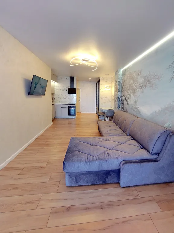 Просторная однокомнатная квартира