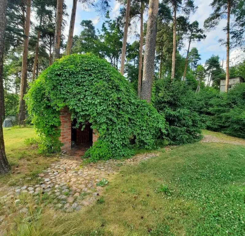 Дом-студия у Монрепо