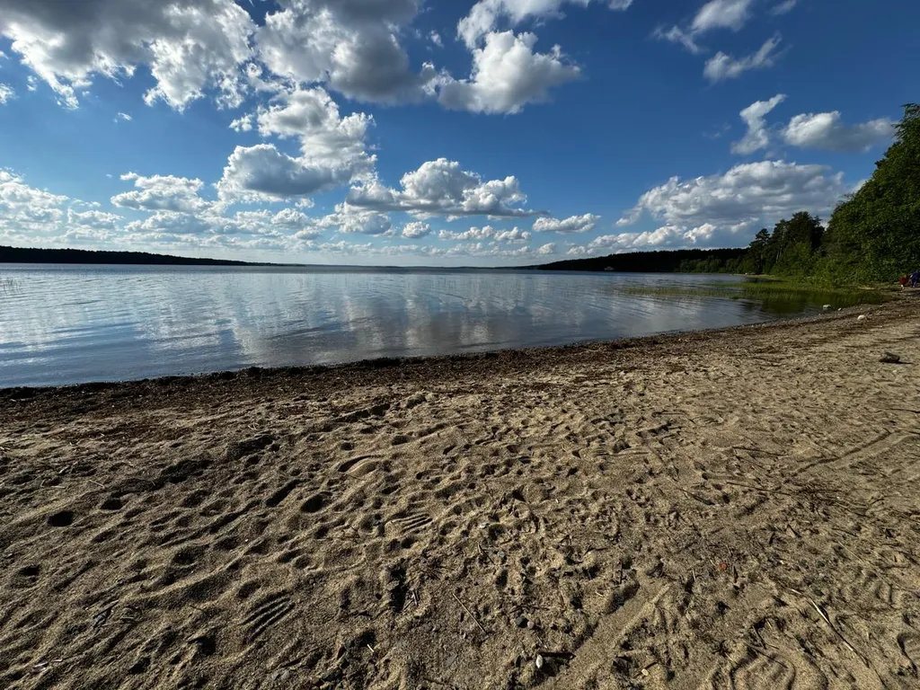 Дом с верандой из бревна у озера