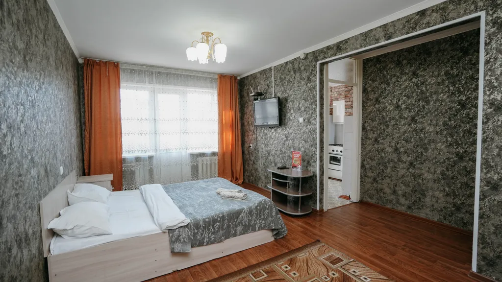 Econom Bagira, просторная однушечка в центре