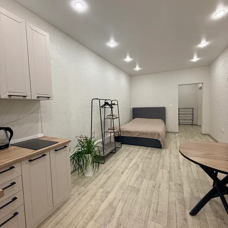 Светлая студия с видом на сопки