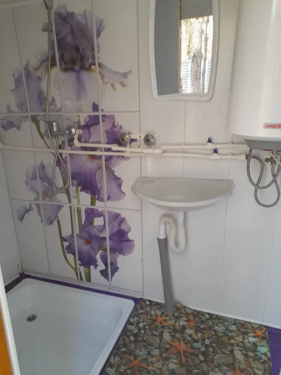 Дом в сосновом лесу