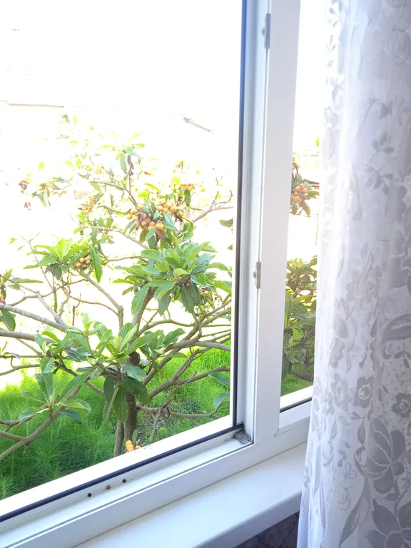 Дом возле моря