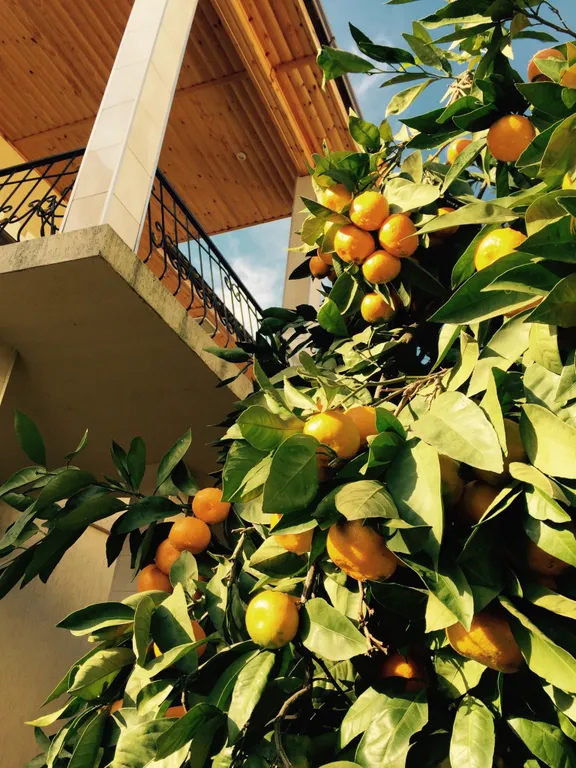 Двухместный стандарт с двуспальной кроватью без балкона на 1 этаже