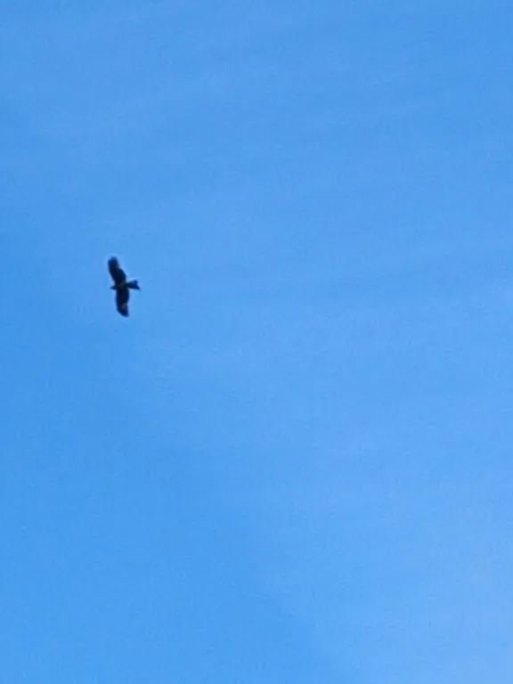 Уютный домик посуточно в тихом месте на Рыбинке