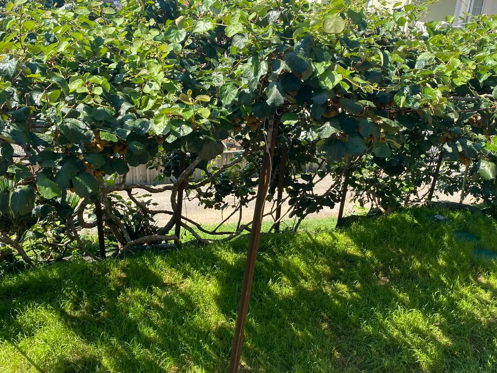 Коттедж Уютный дом на холме с красивыми видами на море, олимпийские объект — Сочи