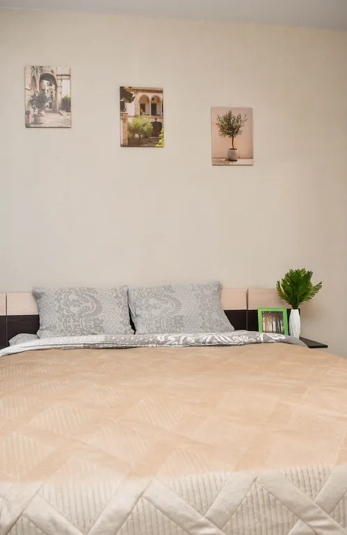 Квартира Просторная квартира возле ТРЦ Планета — Красноярск