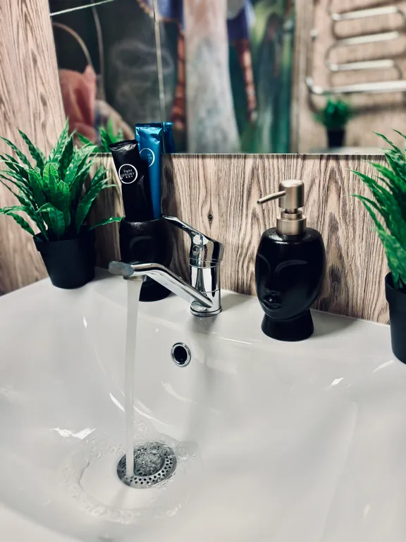 В гостях у Алисы