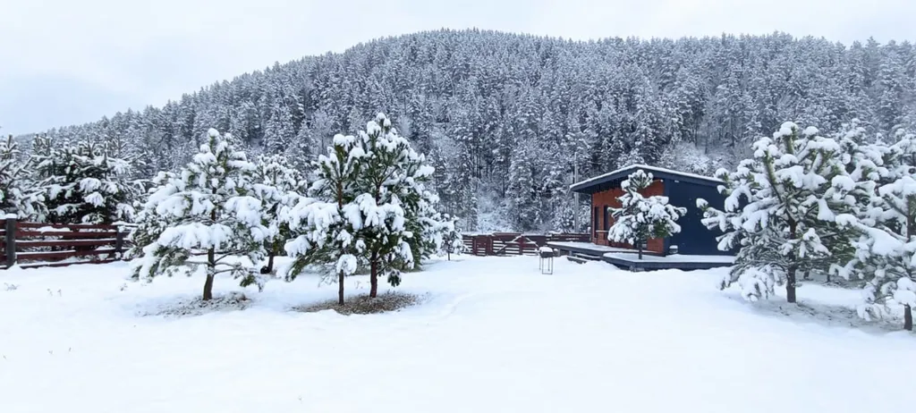 Отдых в живописном месте Алтая