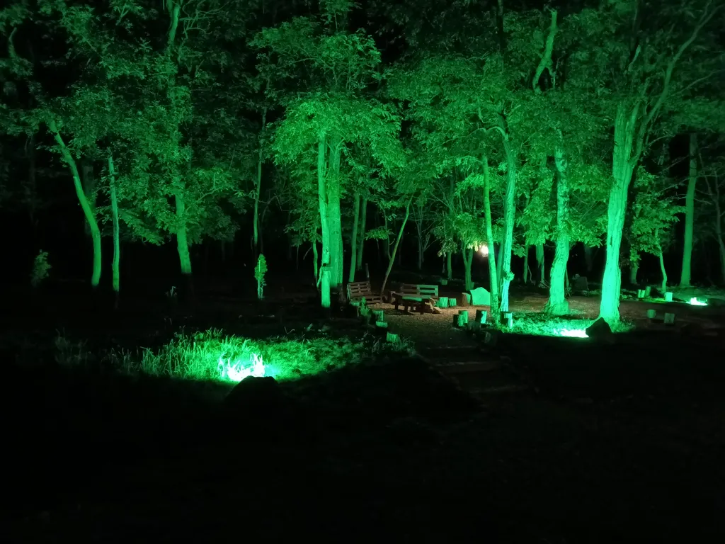 Глэмпинг Лесной уголок