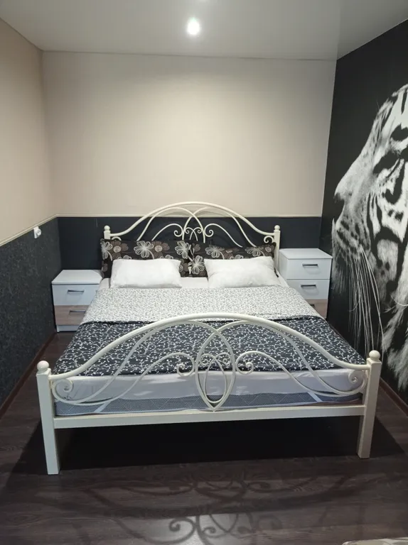 1-комнатная Квартира — аренда посуточно в Боровичи