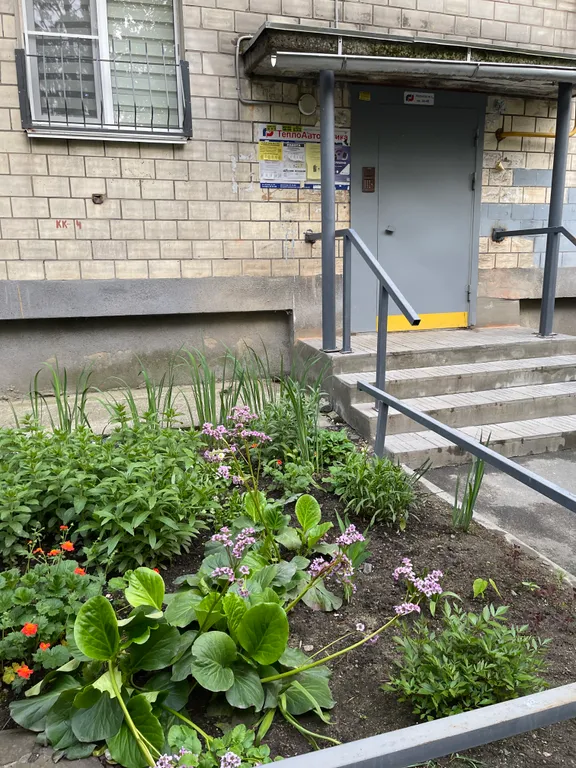 Та самая уютная квартира в центре, у реки