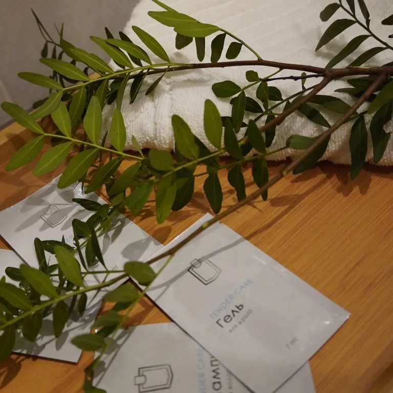 Квартира Квартира Aпapтaмeнты в цeнтре Свeтлoгорcка — Светлогорск