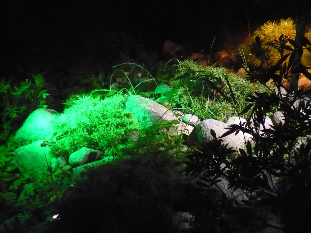 Домик на горке с баней