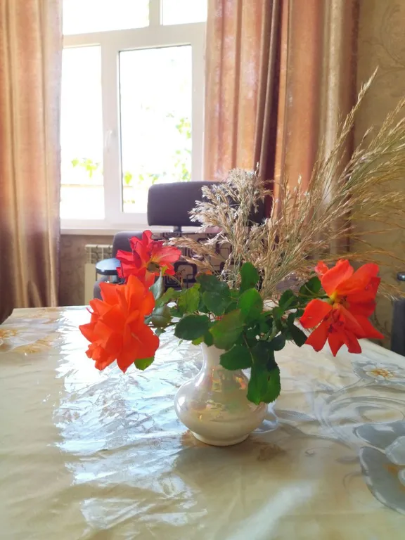 Домики у Озера