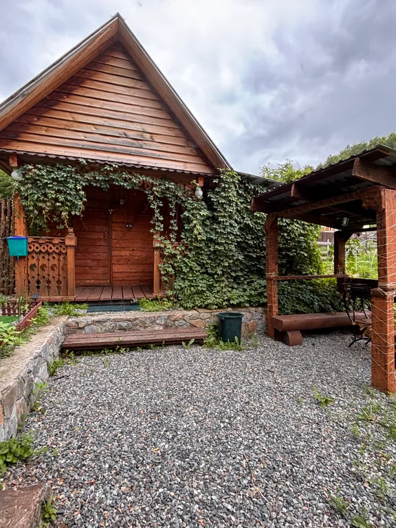 Отдых на Алтае