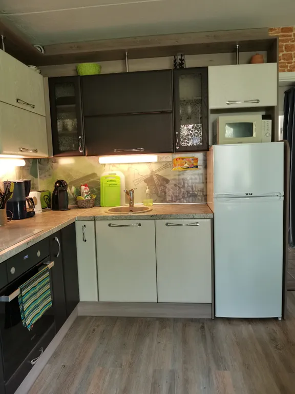 Scandinavian City Apartment