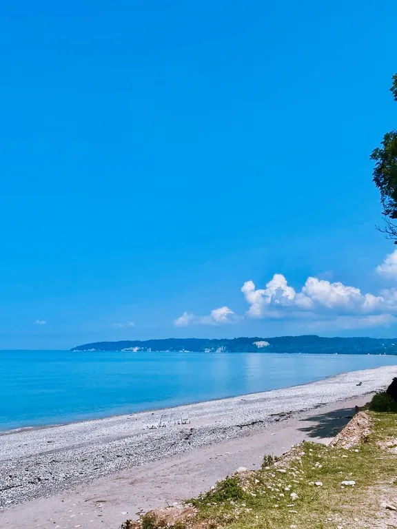 Роза Ветров