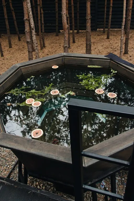 Дом хвоя светлый