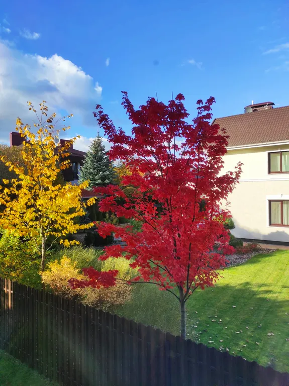 Dolce Vita апартаменты у озера с камином в 15 минутах от центра на автомобиле