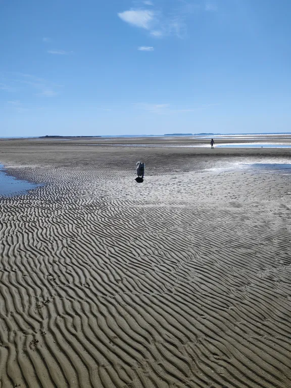 Гостевой дом на берегу Белого моря