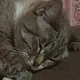 Дарья