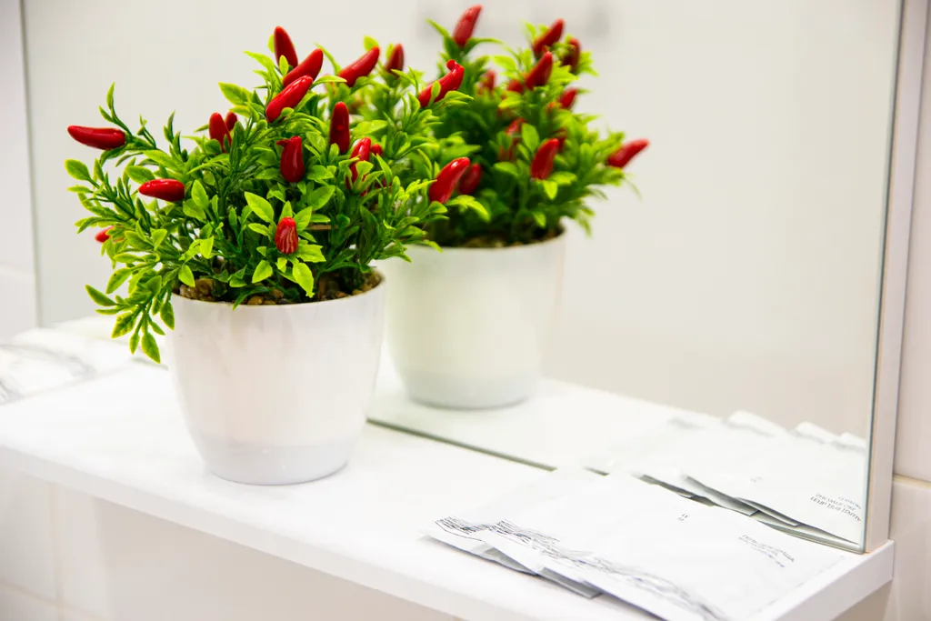 Квартира с панорамным балконом