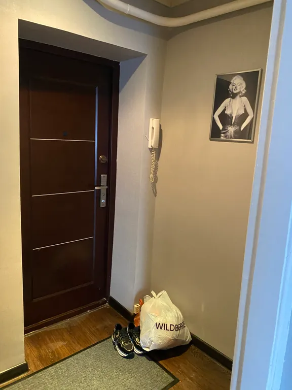 Уютная квартира в центре города с видом на Шереметьевский проспект