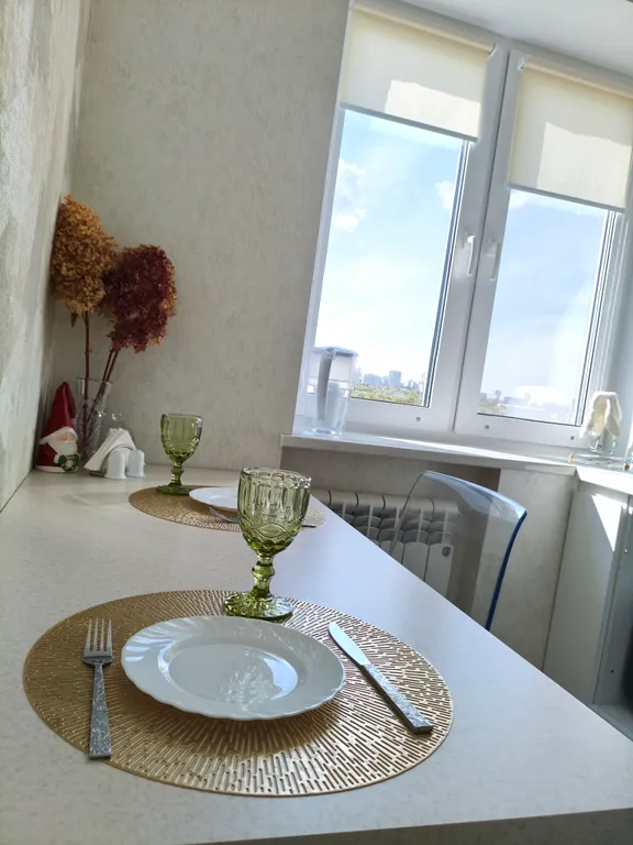 Апартаменты в центре с видом на Иртыш