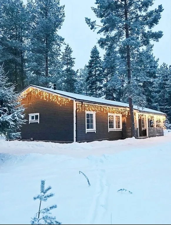 Коттедж Haavejärvi - озеро мечты! Уютный дом на берегу озера в сосновом лесу — аренда посуточно в Выборг