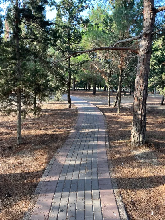 Квартира Апартаменты с видом на море, в Парке Победы — Севастополь