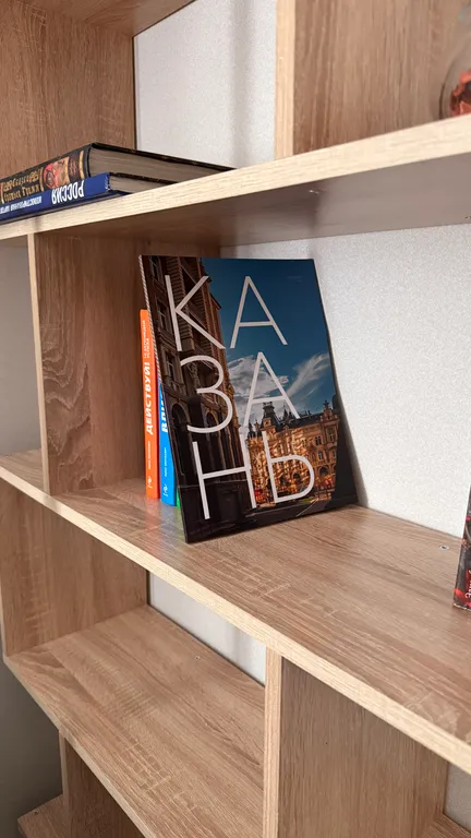 Квартира Просторная квартира рядом с центром города и станцией метро — Казань